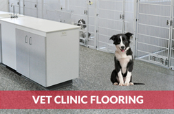vet clinic flooring