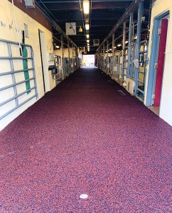 vet clinic flooring